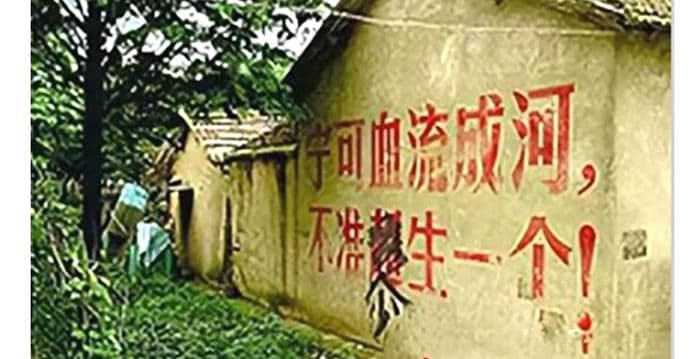 陶清兰:世界人口日 想起姐姐躲在棺材旁的日子