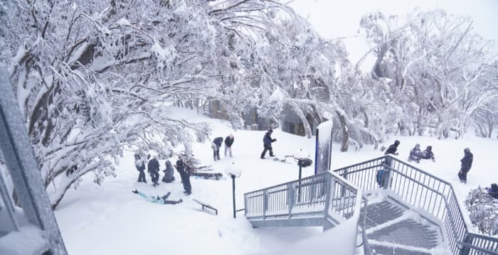 新州维州高山地区普降瑞雪 滑雪季正式开启