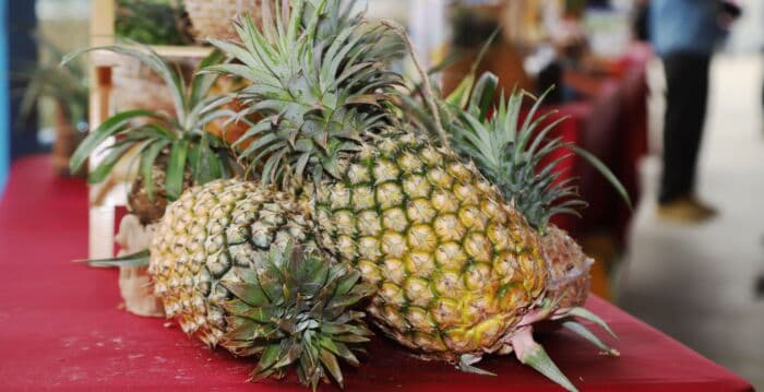 台湾凤梨转销日本 走出中共禁运阴霾