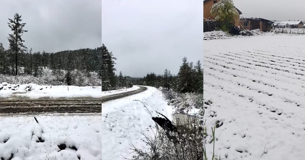 中國異象頻現 內蒙古、黑龍江驚現六月飛雪（多視頻）