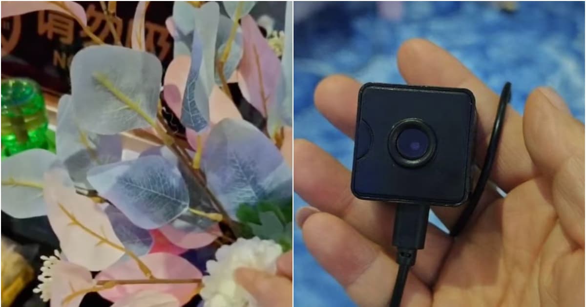 摄像头藏在假花中 女子在湖南住酒店疑遭偷拍