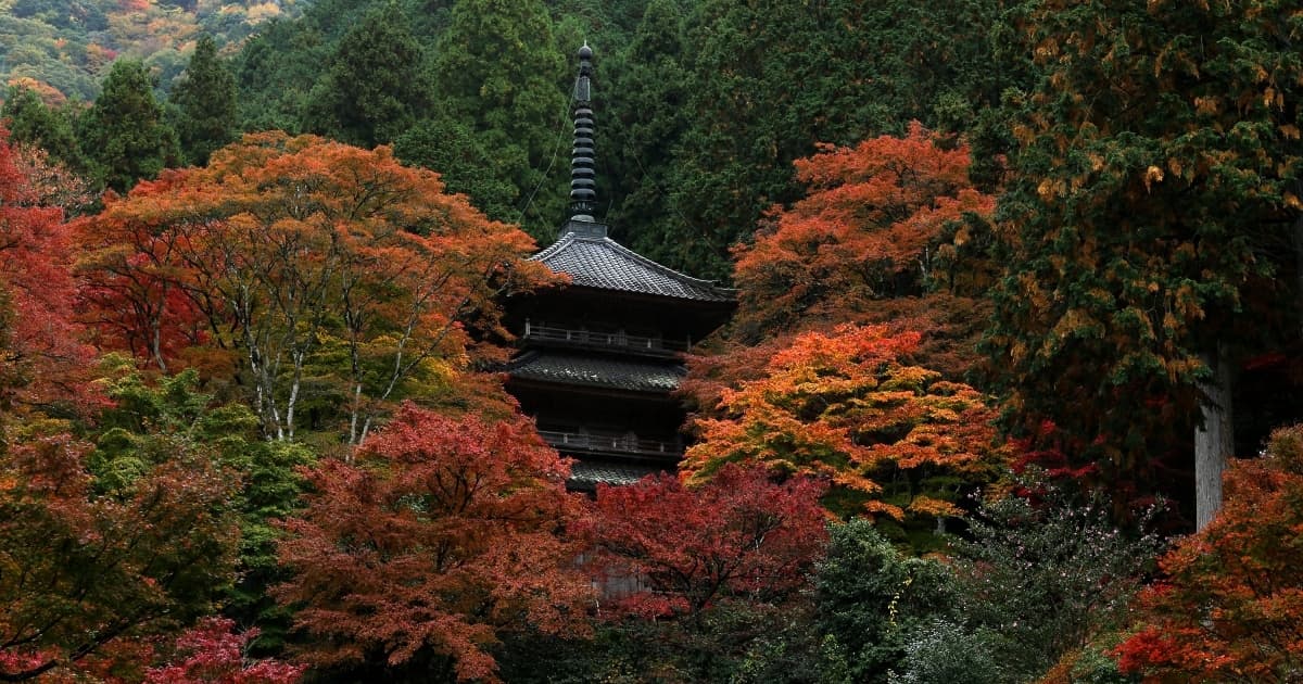 移民新方法？ 中國人湧入日本購買寺廟