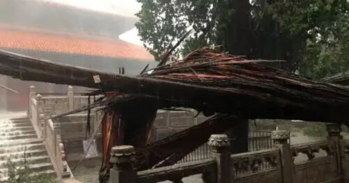 山東遭12級暴風雨襲擊 孔廟逾百年古樹被吹斷（多視頻）