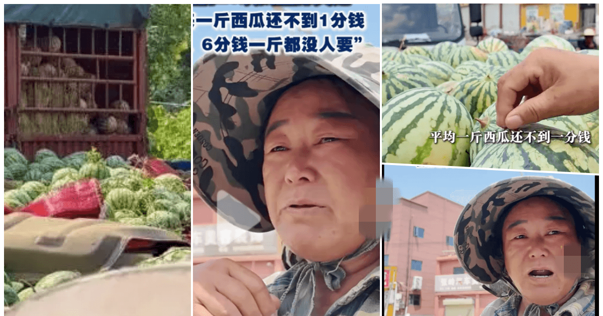 河南瓜農談西瓜滯銷：一斤不到1分錢