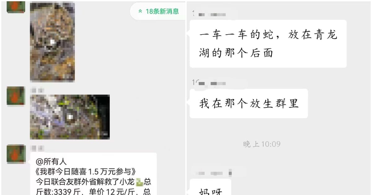 恐怖！ 传成都青龙湖被“放生”数千条毒蛇