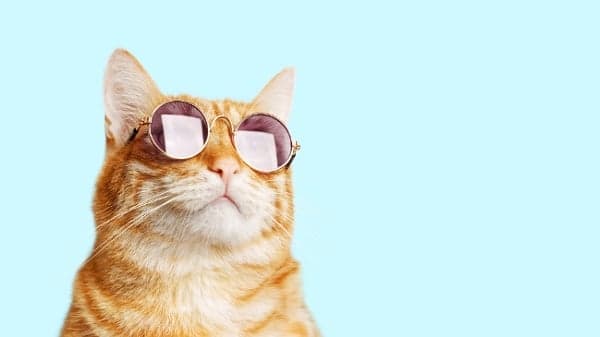 打火机比火柴早发明？20个趣味冷知识让你大开眼界(图)
