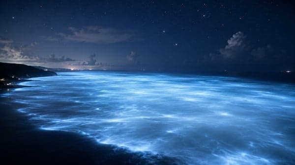 绵延十万平方公里的神秘蓝光 连太空卫星都看得见(图)