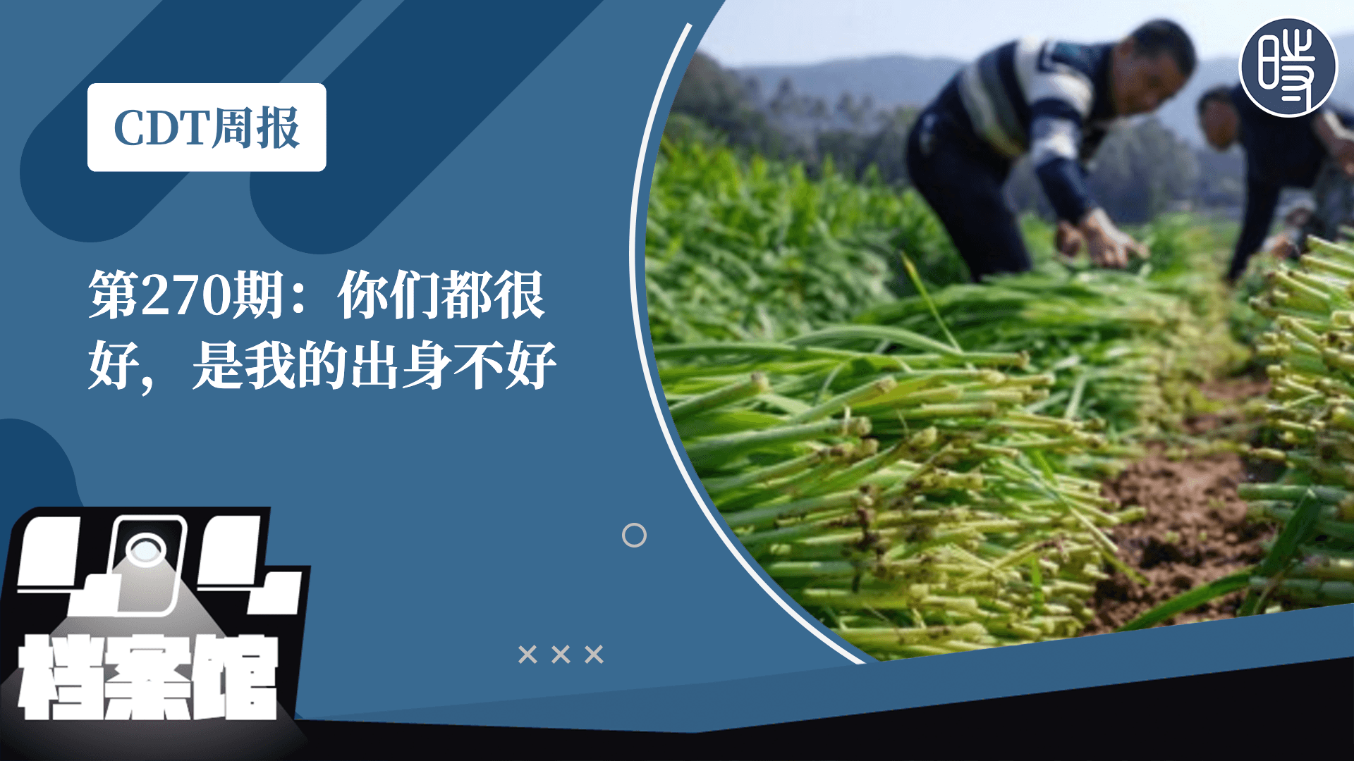 【CDT周报】第270期:你们都很好,是我的出身不好
