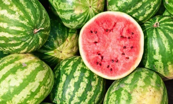 西瓜越丑越甜?专家教你看4大特征