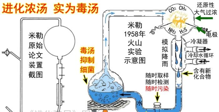 进化骗局(29) 进化原汤 闪烁怪异之光