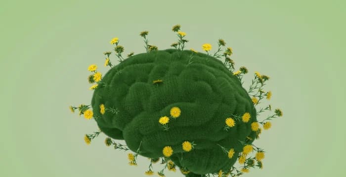 按摩没解压 睡饱还在累?答案在这7种休息