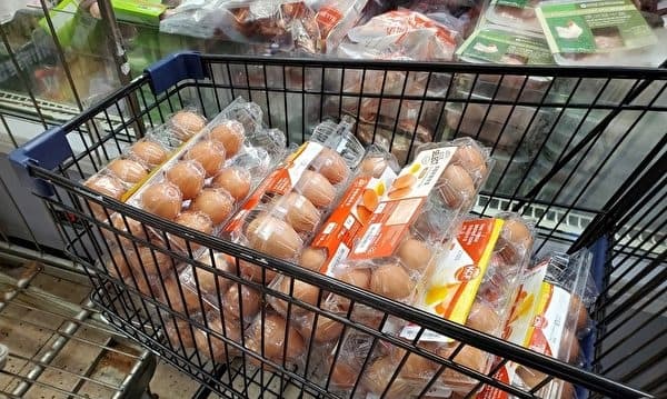大陆鸡蛋价格普遍上涨 5月累计涨幅超26%
