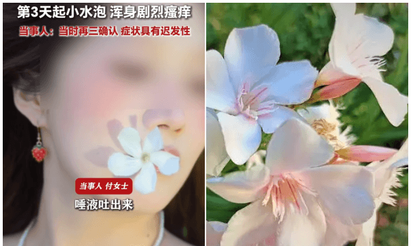 福建女生口含夹竹桃拍照 2天后悲剧发生了