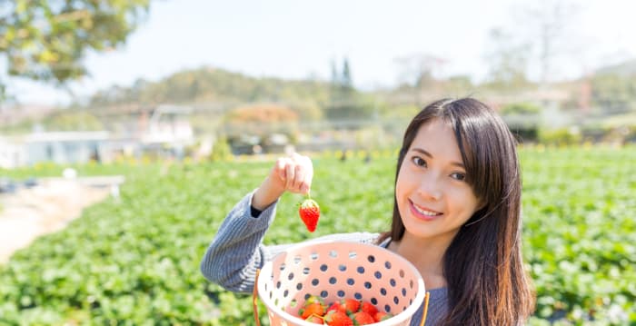 10种夏季食物 养出亮丽肌肤