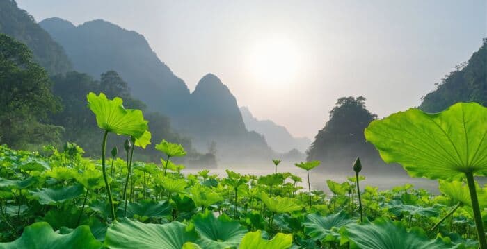 诗歌:书夏