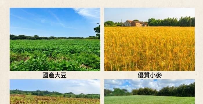 强化韧性农业抢占低碳新趋势 台产杂粮集团产区推动转作