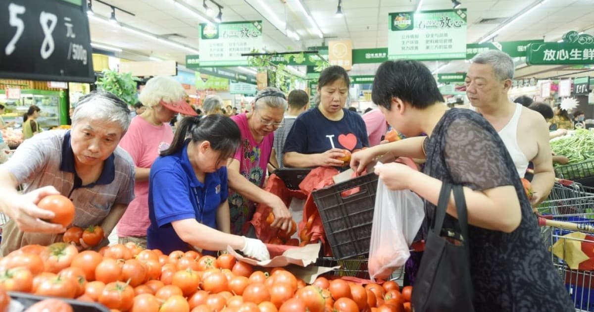 中國番茄低廉搶進歐洲 法媒:生產國自危