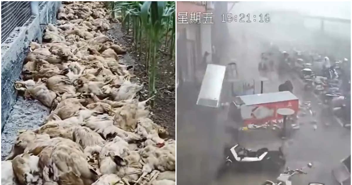 水深火熱!廣東酷暑加狂風暴雨宛如末日(視頻)