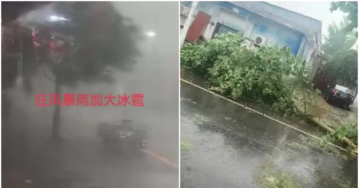 11級狂風加暴雨冰雹襲保定 吹倒行人拔起大樹(視頻)