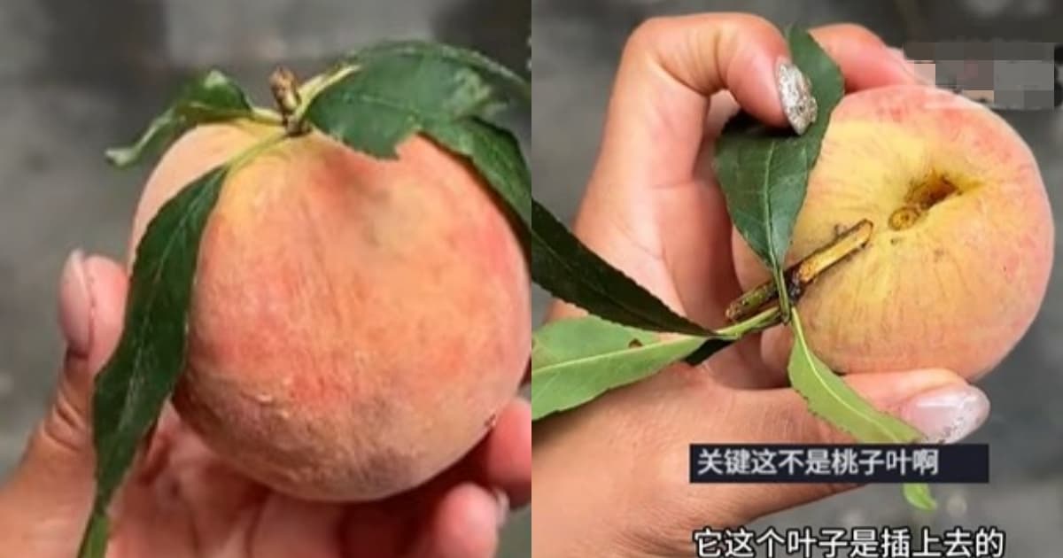 云南女子买桃被骗:叶子全是插上去的