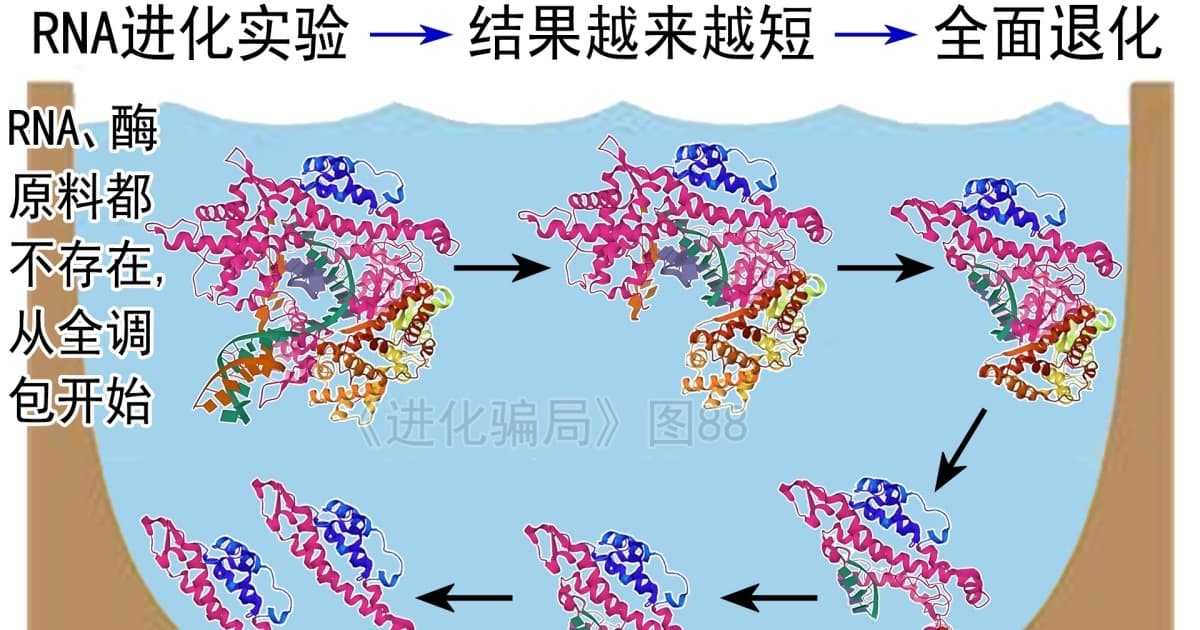 进化骗局(28) 斯皮格曼怪物 葬送进化之说