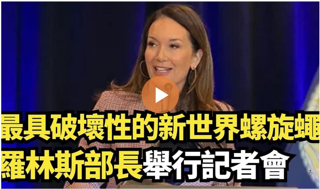 【直播】最具破壞性的新世界螺旋蠅 羅林斯部長舉行記者會