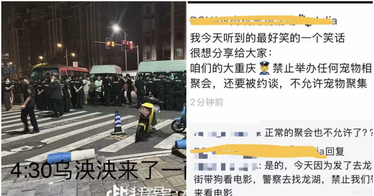 重慶抗議虐狗事件:當局後半夜抓人 取消寵物聚集活動