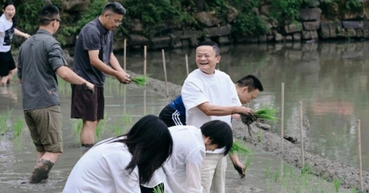 馬雲帶領阿里核心高層下田插秧 引發猜測