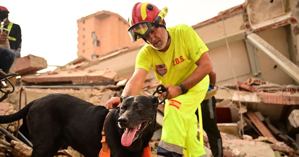 委內瑞拉強震逾3300罹難 逾百搜救犬深入廢墟立功