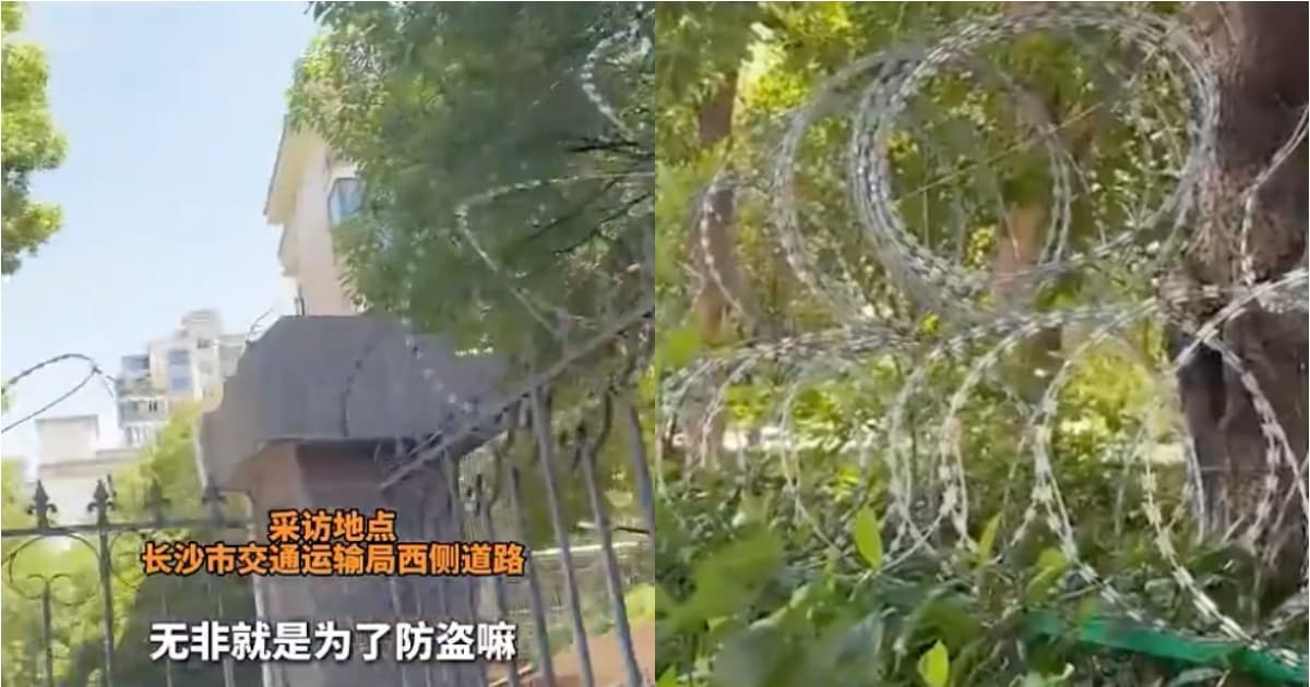 長沙城市街道現「刀片護欄」 市民憂心安全
