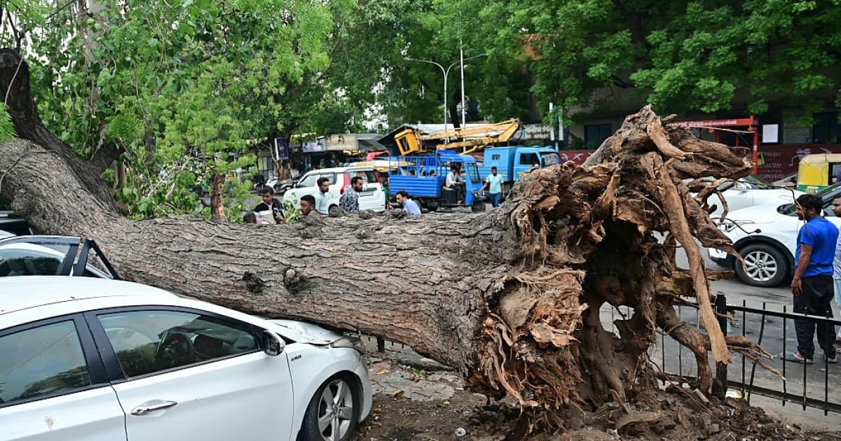 連續暴雨12死 印度垃圾山、隧道坍塌多地交通中斷
