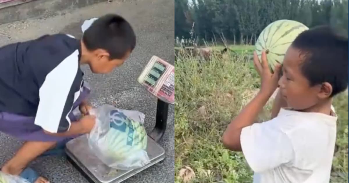 河南7歲男孩賣西瓜 套袋絕技驚呆眾人(視頻)