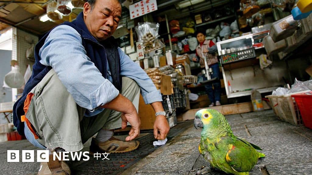 傳說中的「亞洲蹲」,竟對我們的健康至關重要?