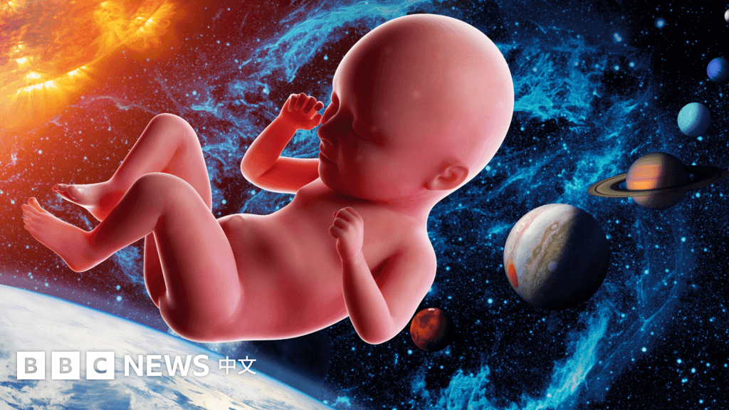 在太空中懷孕和繁衍人類 還有哪些科學疑問有待解決?