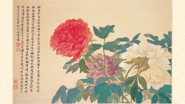 【神州大地系列】中国牡丹之都:菏泽(图)