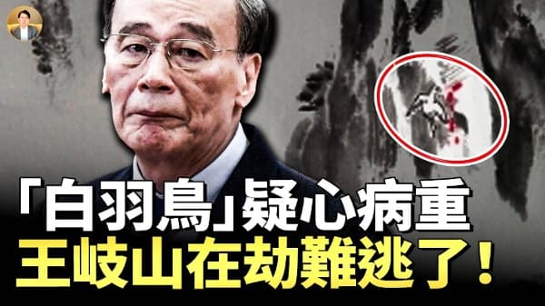 拚死拔除自身最后一根羽毛!习近平连斩多虎 硬闯“岐山”(视频)