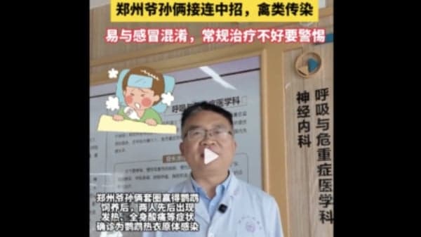 郑州多人确诊“鹦鹉热” 高烧成肺炎险成重症(图)
