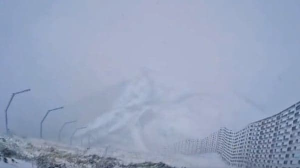 北京竟六月飞雪 冲顶热搜(组图)